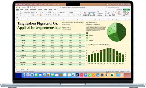 Microsoft Excel-appen vises på en MacBook Air