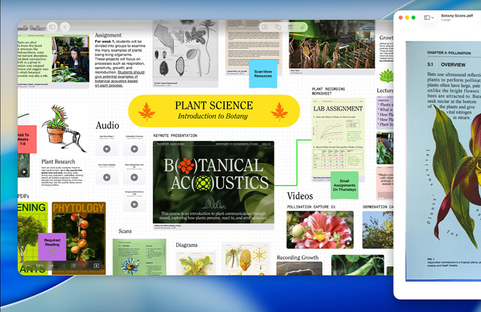Et Freeform-projekt om plantevidenskab på Mac med lyd, videoer og forskningsresultater ved siden af et preview af en PDF-fil for at illustrere, hvor nemt det er at være produktiv