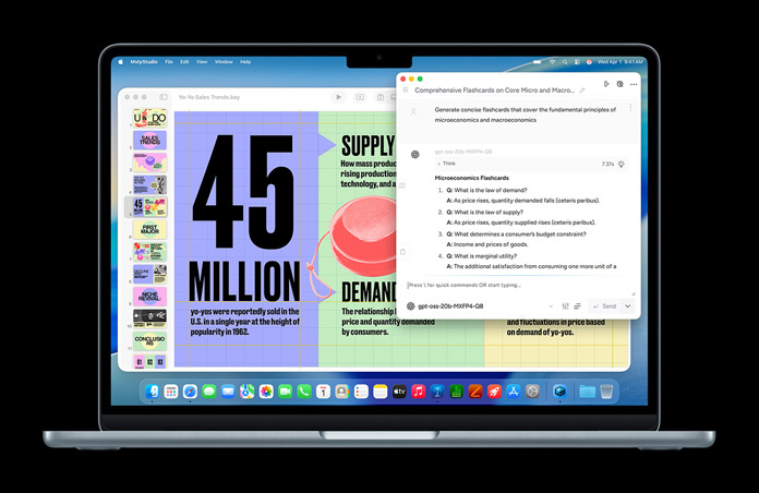 Et skærmbillede fra Msty Studio på MacBook med huskekort om mikroøkonomi, der viser AI-funktioner på enheden