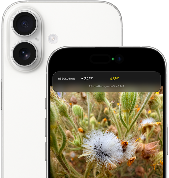 iPhone 17, face arrière, angles arrondis, système à deux caméras Fusion dans le coin supérieur gauche, coloris blanc, face avant, Dynamic Island, angles arrondis