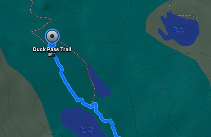 カスタム経路の地図。ピン留めした場所までの推定所要時間と距離が示されている