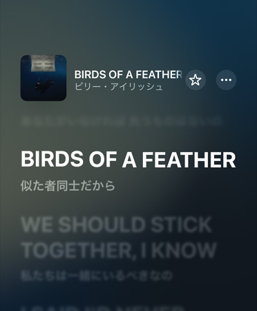 Apple Musicで再生されているビリー・アイリッシュによる「BIRDS OF A FEATHER」の歌詞の翻訳。英語から日本語に翻訳されている
